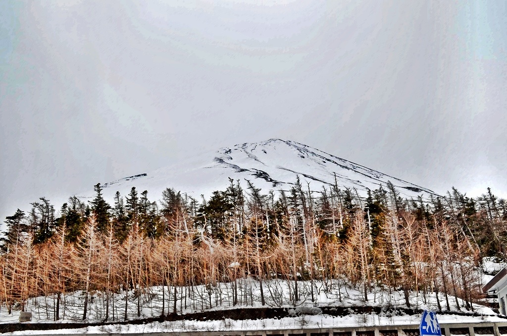Dragons and Goblins: Exploring Mt. Fuji and Japan’s Countryside post thumbnail image